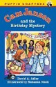 Cam Jansen and the Birthday Mystery (#20) - David A. Adler, Susanna Natti