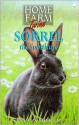 Sorrel the Substitute (Home Farm Twins, #12) - Jenny Oldfield