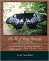 The Tale of Betsy Butterfly Tuck Me in Tales - Arthur Scott Bailey