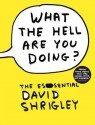 What the Hell Are You Doing?: The Essential David Shrigley - David Shrigley, Will Self