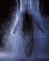 Bill Viola - David A. Ross, Bill Viola