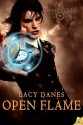 Open Flame (Dragon's Fate, #2) - Lacy Danes