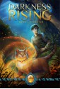 Darkness Rising (Catmage Chronicles, #1) - Meryl Yourish