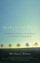 Awake in the World: Teachings from Yoga and Buddhism for Living an Engaged Life - Michael Stone