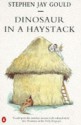 Dinosaur In A Haystack - Stephen Jay Gould