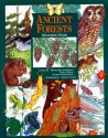 Ancient Forests: Discovering Nature - Margaret Anderson, Nancy Field, Karen Stephenson, Sharon Torvik