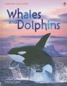 Whales and Dolphins (Usborne Discovery) - Susanna Davidson