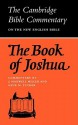 The Book of Joshua (Cambridge Bible Commentary) - James Maxwell Miller, Gene Milton Tucker