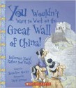 You Wouldn't Want to Work on the Great Wall of China!: Defenses You'd Rather Not Build - Jacqueline Morley, David Salariya