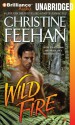 Wild Fire - Phil Gigante, Christine Feehan