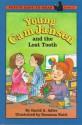 Young CAM Jansen and the Lost Tooth - David A. Adler, Susanna Natti