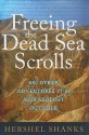 Freeing the Dead Sea Scrolls: And Other Adventures of an Archaeology Outsider - Hershel Shanks