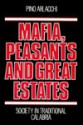 Mafia, Peasants and Great Estates: Society in Traditional Calabria - Pino Arlacchi, Jonathan Steinberg