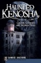 Haunted Kenosha (WI): Ghosts, Legends and Bizarre Tales (Haunted America) - Candice Shatkins