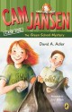 The Green School Mystery (Cam Jansen Series #28) - David A. Adler, Joy Allen