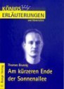 Am kürzeren Ende der Sonnenallee - Volker Krischel, Thomas Brussig