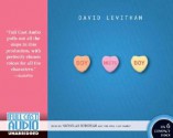 Boy Meets Boy (Library) - David Levithan, Nicholas Robideau