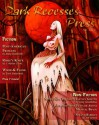 Dark Recesses Press, Issue #13 - Michael Louis Dixon, Abby Goldsmith, Mekenzie Larsen, Anna Schwind, Geoffrey W. Cole, Drew Wilcox, Jamie Lackey, J. Adrian Cook, Chris Stageman, Craig Wallwork, Sunil Sadanand, Cody Goodfellow, Jeff Strand, Chris Perridas, Boyd E. Harris, Jason V. Brock