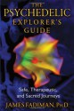 The Psychedelic Explorer's Guide: Safe, Therapeutic, and Sacred Journeys - James Fadiman