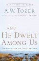 And He Dwelt Among Us: Teachings from the Gospel of John - A.W. Tozer, James L. Snyder