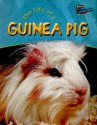 The Life of a Guinea Pig - Clare Hibbert