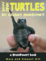 Why Are Turtles So Crazy Awesome? - Mary Hill, Stewart Hill