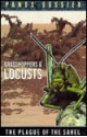 Grasshoppers & Locusts: The Plague of the Sahel - John Rowley