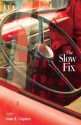 The Slow Fix - Ivan E. Coyote