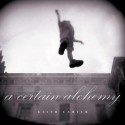 A Certain Alchemy - Keith Carter