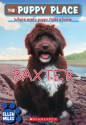 Baxter - Ellen Miles, Tim O'Brien