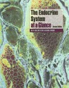 The Endocrine System at a Glance - Ben Greenstein, Louis Caplan