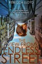 The View from Endless Street: Short Stories from the South of England - Rebecca Lloyd