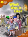 What Was It Like? (Oxford Reading Tree: Stage 8: More Storybooks: Magic Key) - Roderick Hunt, Alex Brychta