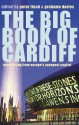 The Big Book of Cardiff - Lloyd Robson, Dannie Abse, Trezza Azzopardi, Leonora Brito, Sean Burke, Duncan Bush, Gillian Clarke, Alexander Cordell, Grahame Davies, Anna Davis, Peter Finch, Niall Griffiths, James Hawes, Emry Humphreys, Glyn Jones, Owen Martell, Bernice Rubens, John Williams, Nia Willi