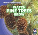 Watch Pine Trees Grow - Therese Shea