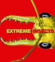 Extreme Insects - Richard Jones