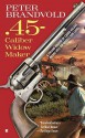 .45-Caliber Widow Maker - Peter Brandvold