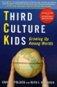 Third Culture Kids: Growing Up Among Worlds - David C. Pollock, Ruth E. Van Reken