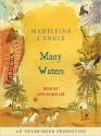 Many Waters (Audio) - Madeleine L'Engle, Ann Marie Lee