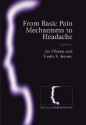 From Basic Pain Mechanisms to Headache - Jes Olesen, Troels Jensen