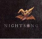 Nightsong - Ari Berk, Loren Long