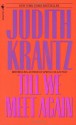 Till We Meet Again - Judith Krantz