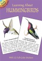 Learning about Hummingbirds - Jan Sovak