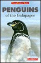 Penguins of the Galapagos - Carol A. Amato