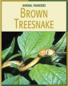 Brown Treesnake - Barbara A. Somervill