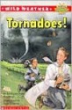 Tornadoes! (Scholastic Reader, Level 4) - Lorraine Jean Hopping, Jody Wheeler