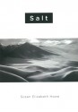 Salt - Susan Elizabeth Howe