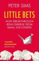 Little Bets: How breakthrough ideas emerge from small discoveries - Peter Sims