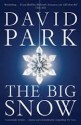 The Big Snow - David Park