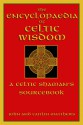 The Encyclopaedia of Celtic Wisdom: A Celtic Shaman's Sourcebook - John Matthews, Caitlín Matthews